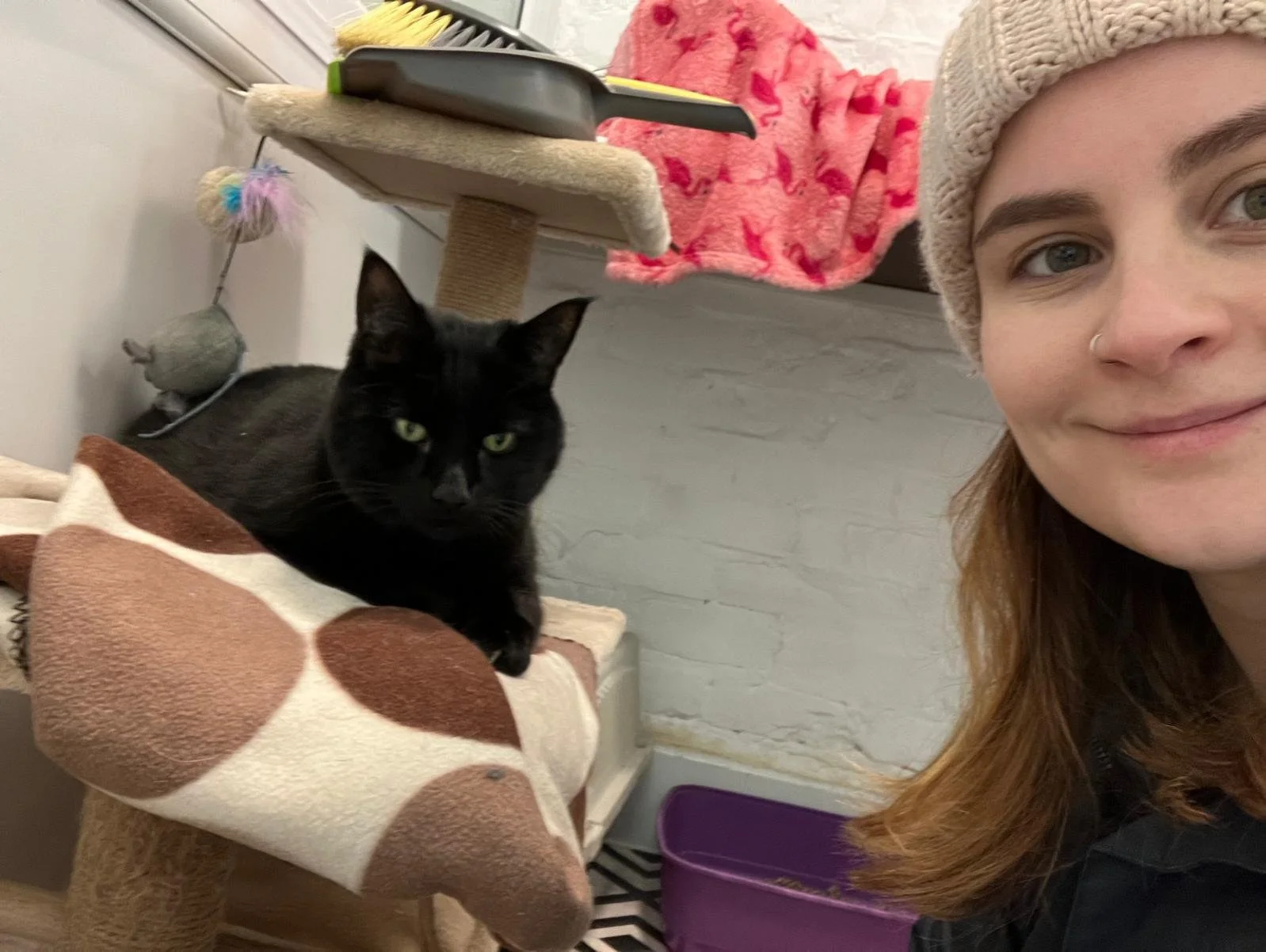 Jess at the cat shelter!