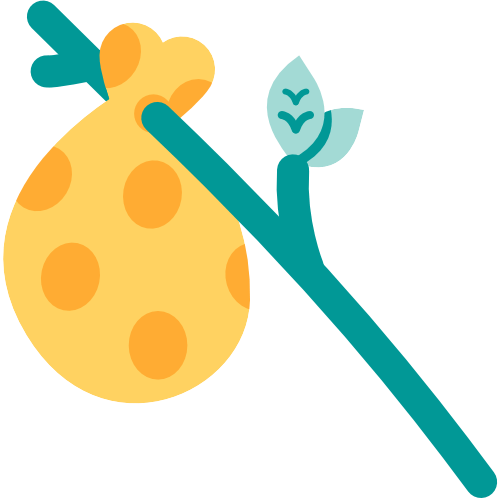 Sam's work with endangered wildlife in Borneo