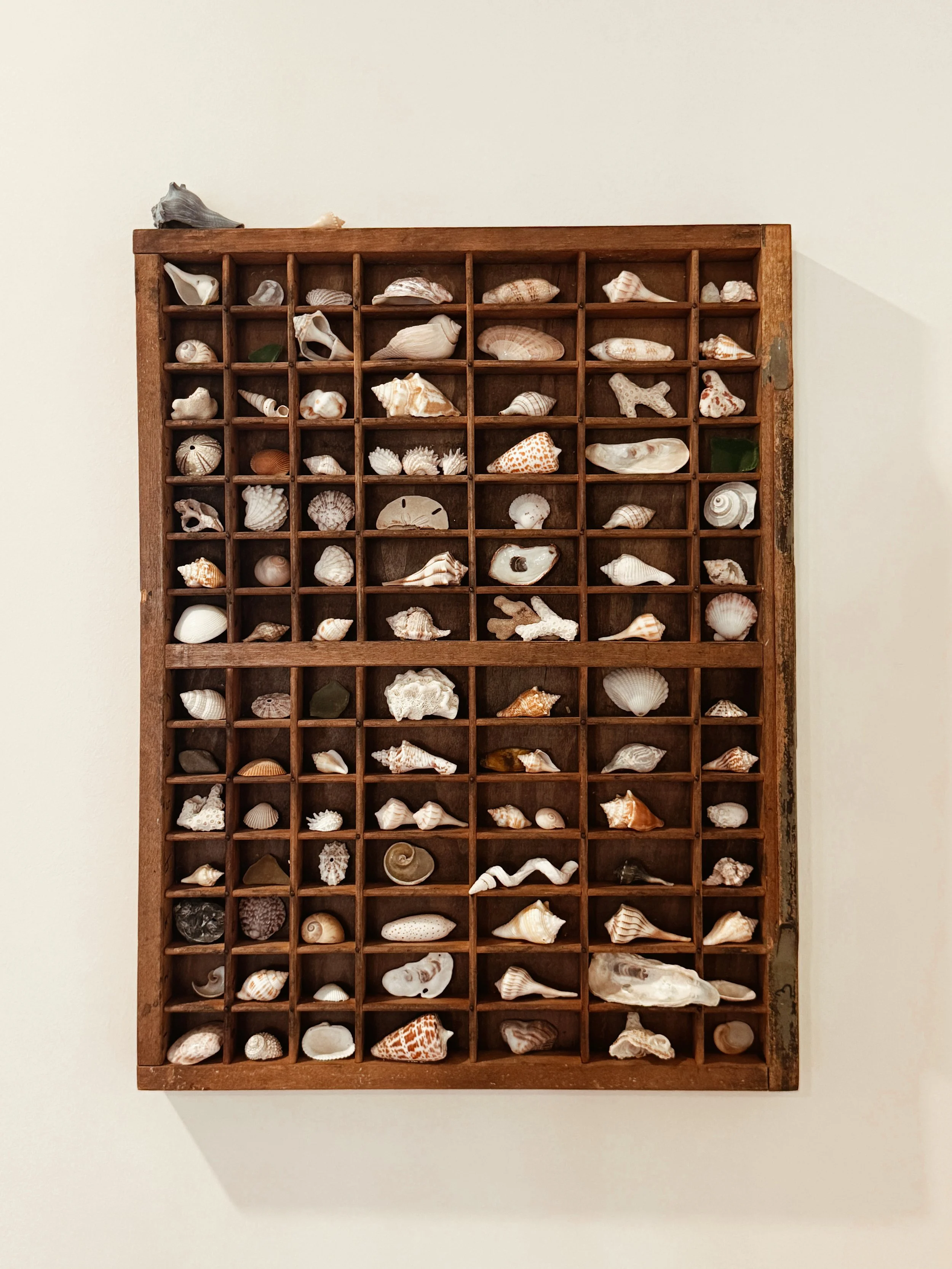 Development Interior Consulting