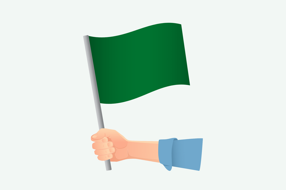 Identifying Common Green Flags in M&amp;A Case Studies