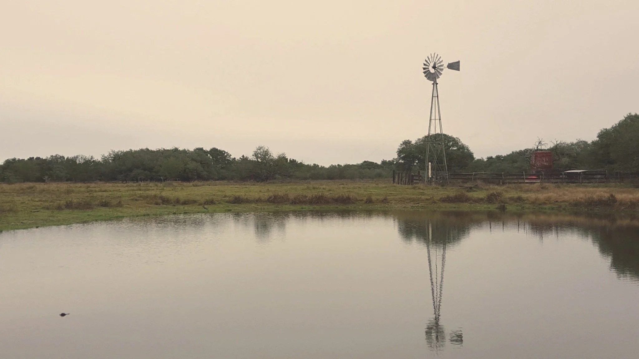 A rural landscape featuring a body of water in the foreground, a grassy area with sparse trees, a windmill, and a red water tank in the background under an overcast sky.
