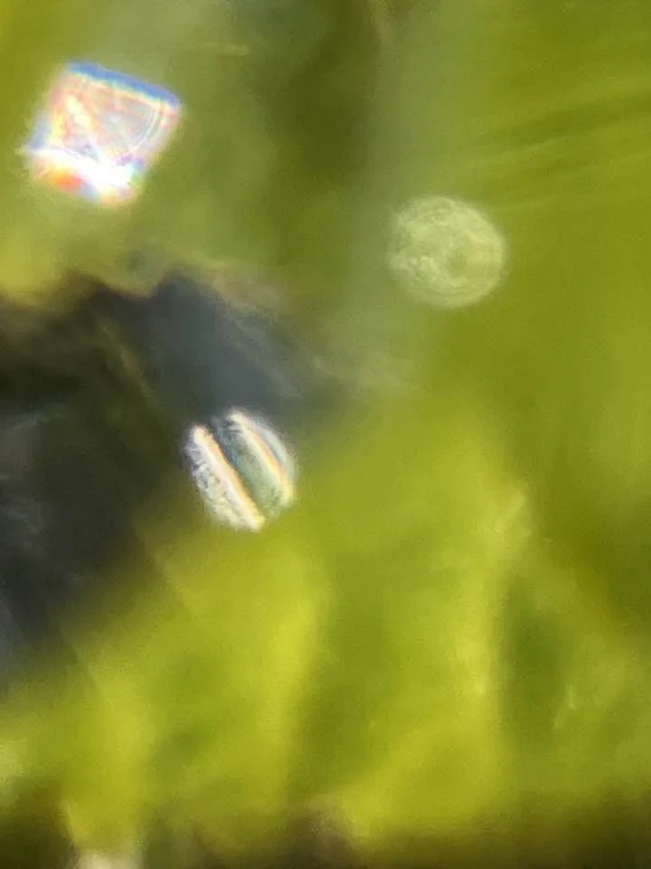 ©HanaB. Abstract Photography Colour Water Glass Nature
