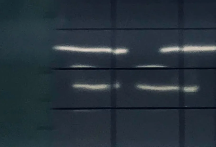 hanababstrakt48.jpg