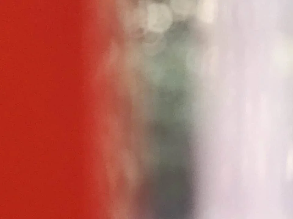 hanababstrakt65.jpg