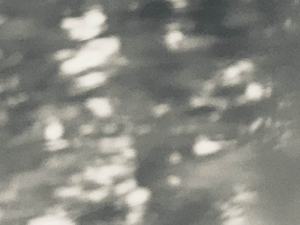 hanababstrakt83.jpg
