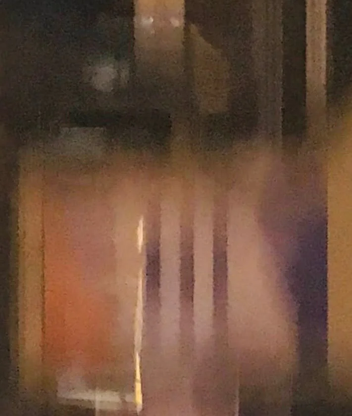 hanababstrakt60.jpg