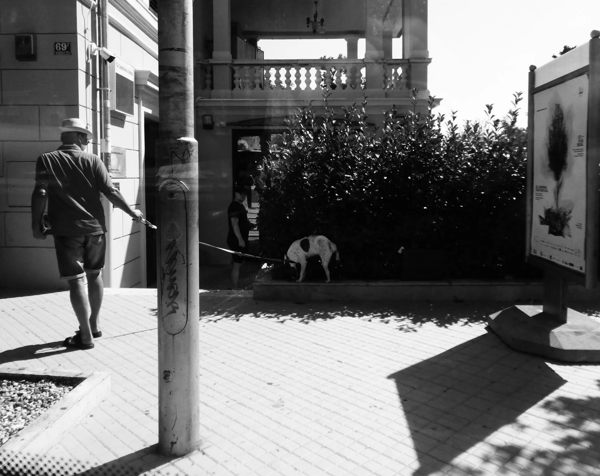 Schwarz-Weiß-Foto einer Stadtseite mit einer Person, die einen Hund an der Leine hält, und einer anderen Person im Hintergrund. Es gibt einen Laternenpfahl, eine Hausfassade, eine große Bushaltestelle mit einem Baum und Hecken im Vordergrund.