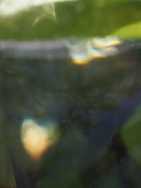 Unklarer, unscharfer Blick auf Wasser und grüne Blätter, möglicherweise eine Wasserpflanze oder Wasseroberfläche mit Reflexionen.