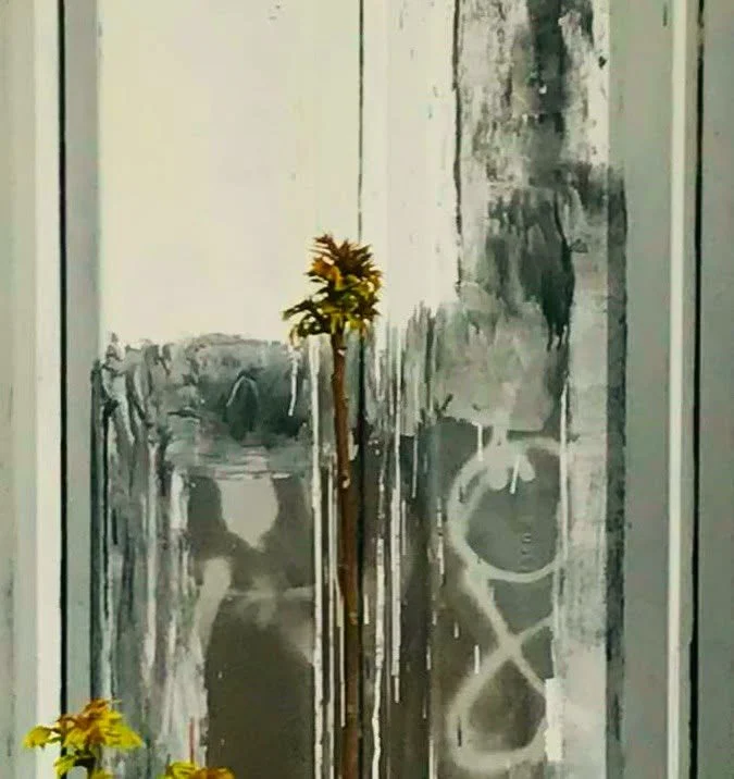 hanababstrakt38.jpg
