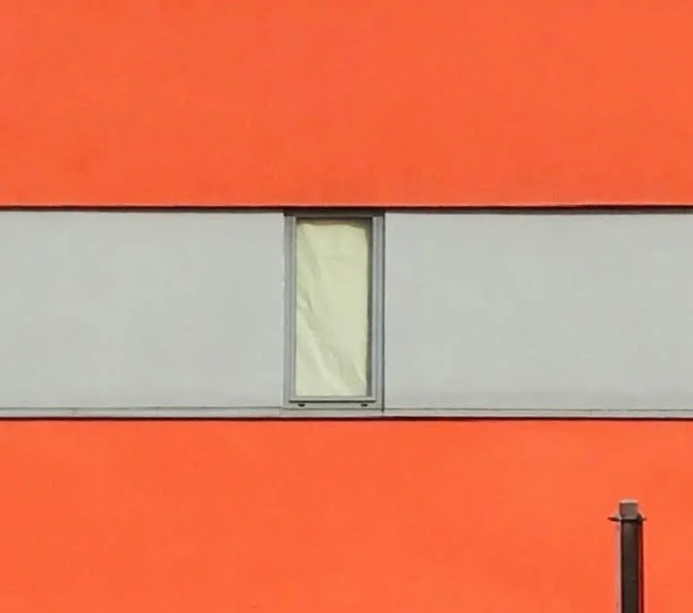 hanababstrakt37.jpg