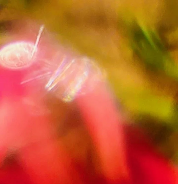 ©HanaB. Abstract Photography Colour Water Glass Nature