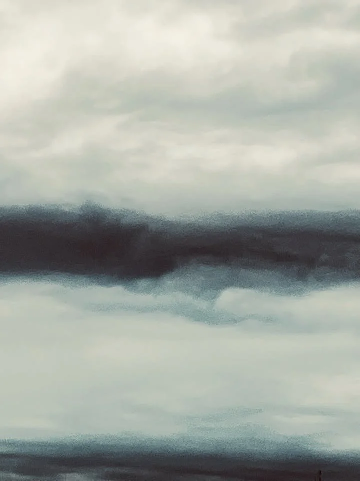 hanababstrakt112.jpg
