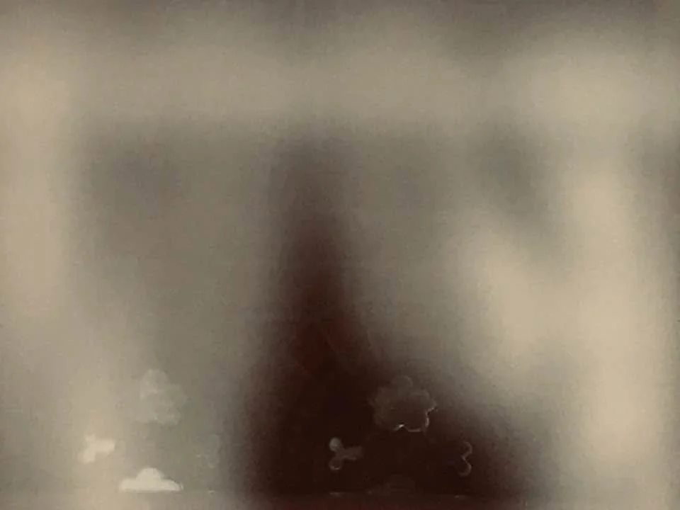 hanababstrakt90.jpg