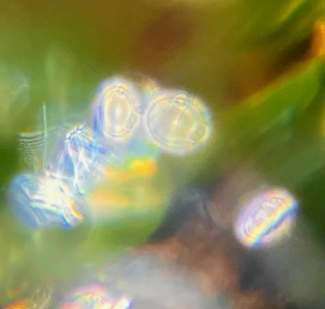 ©HanaB. Abstract Photography Water Glass Nature