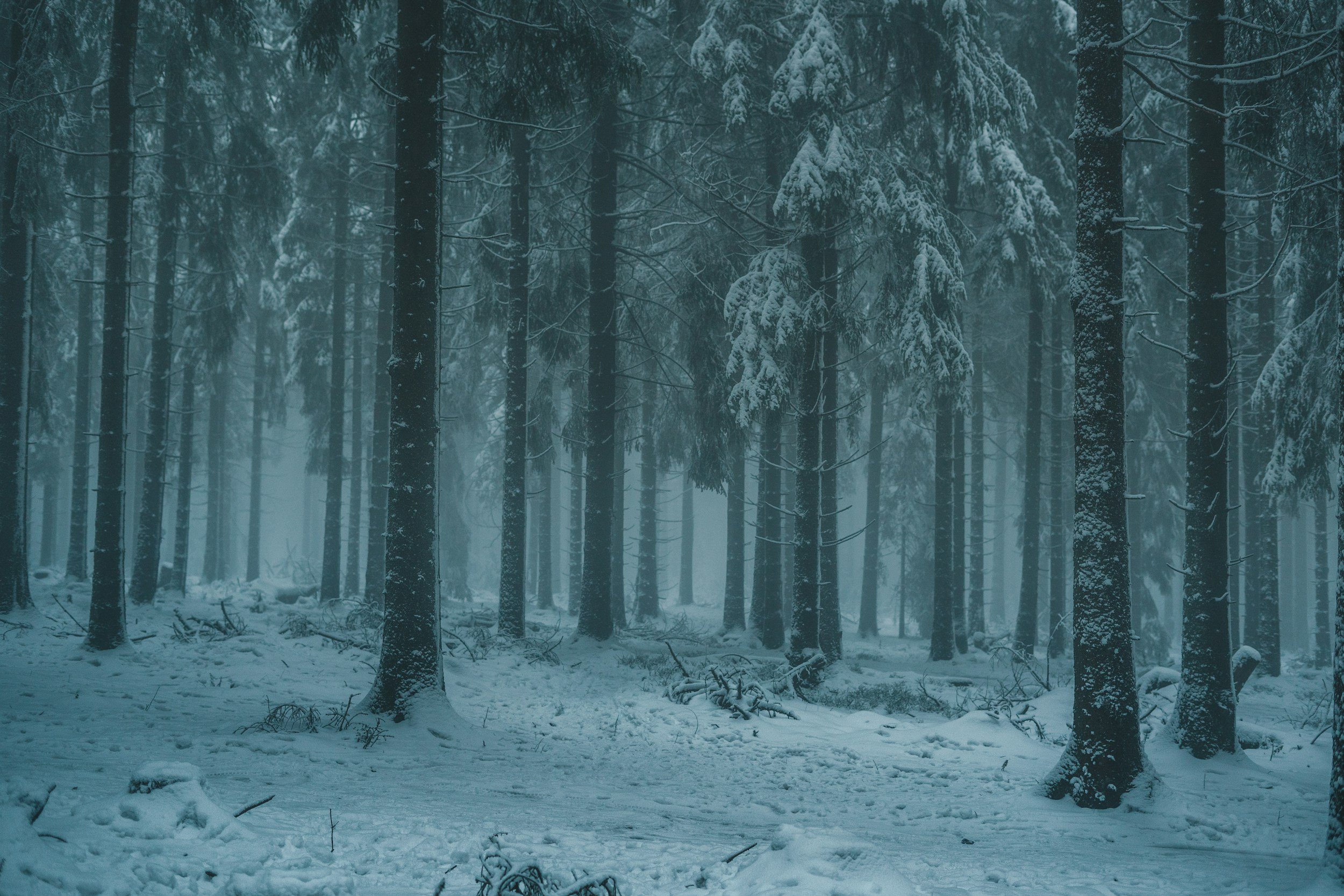Yule Gathering
