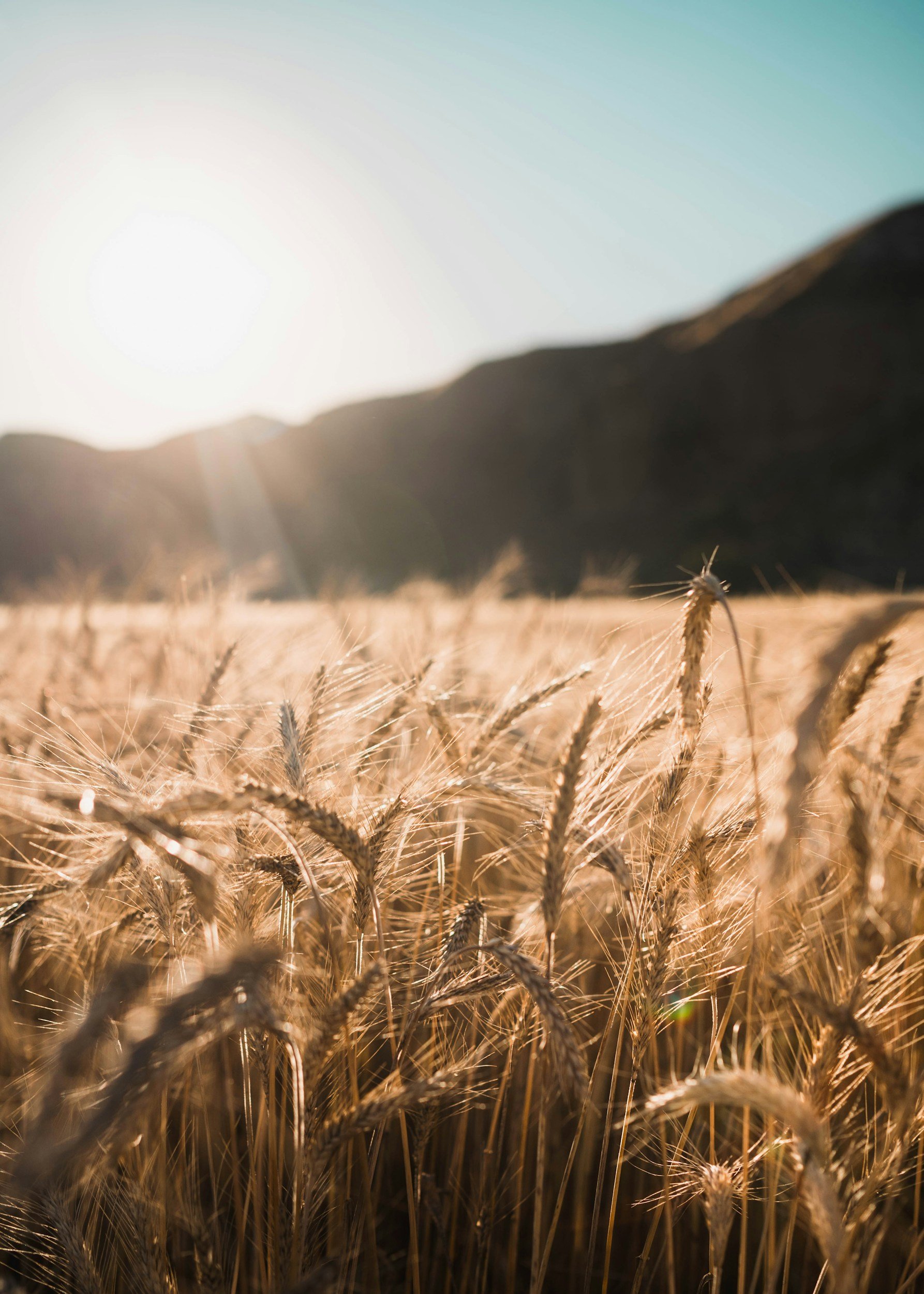 Lughnasadh Gathering