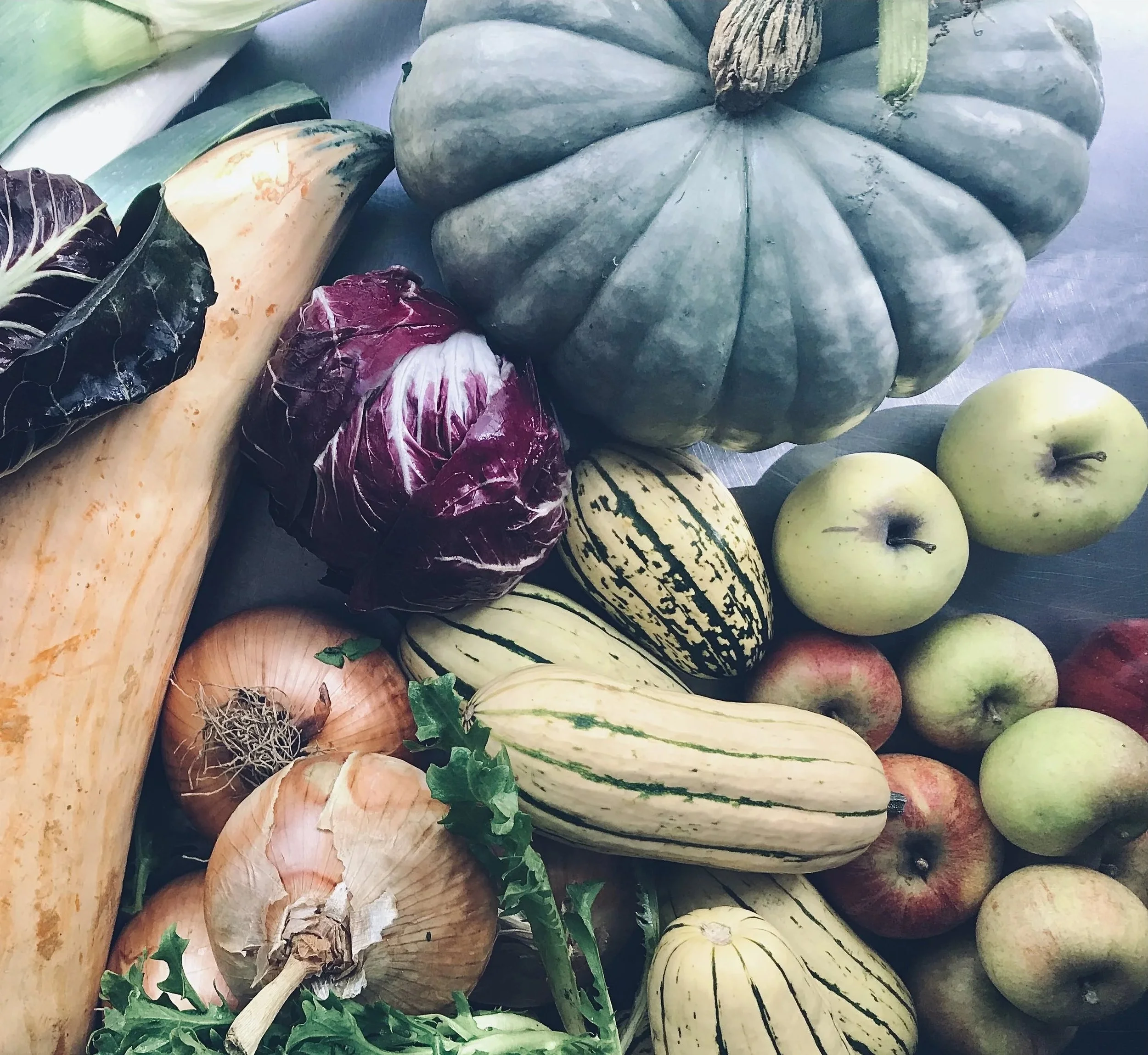 Various winter vegetables including a large green pumpkin, acorn squashes, onions, and apples, with some green leafy vegetables at the bottom.
