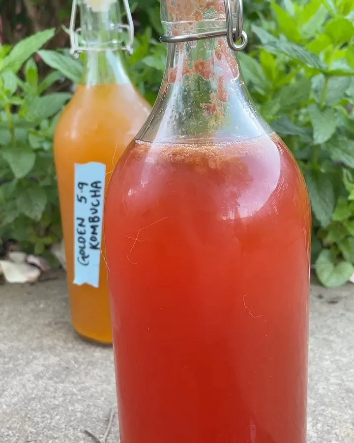 This strawberry mint kombucha had a successful second fermentation making it extra fizzy! 🥂 

The kombucha process is being posted on Patreon this week.
I&rsquo;m also including the process for SCOBY candy (swipe for blackberry lavender kombucha can