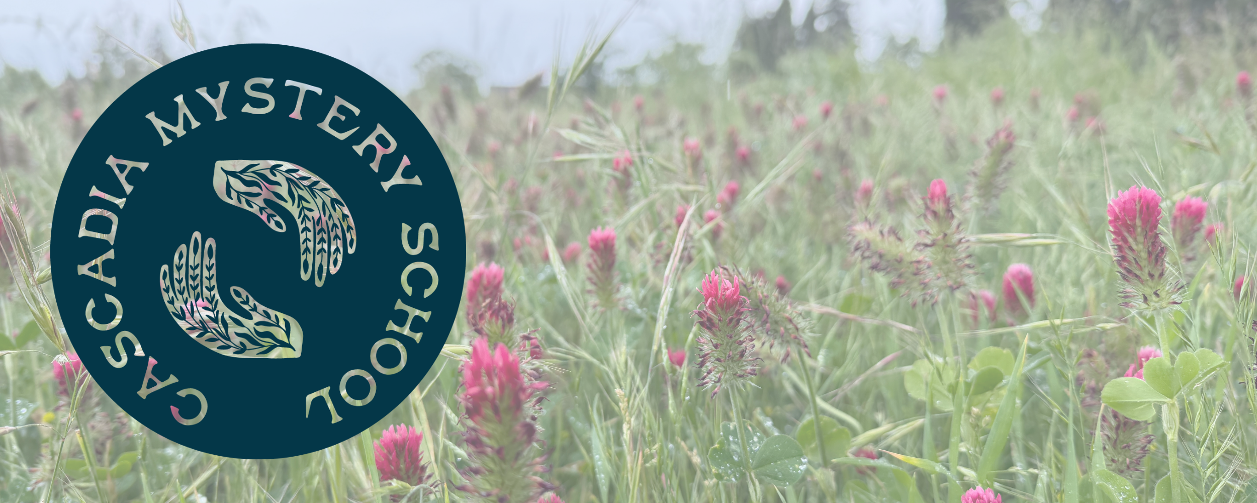 A field of tall grass with pink clover flowers and green foliage, slightly foggy or misty atmosphere.