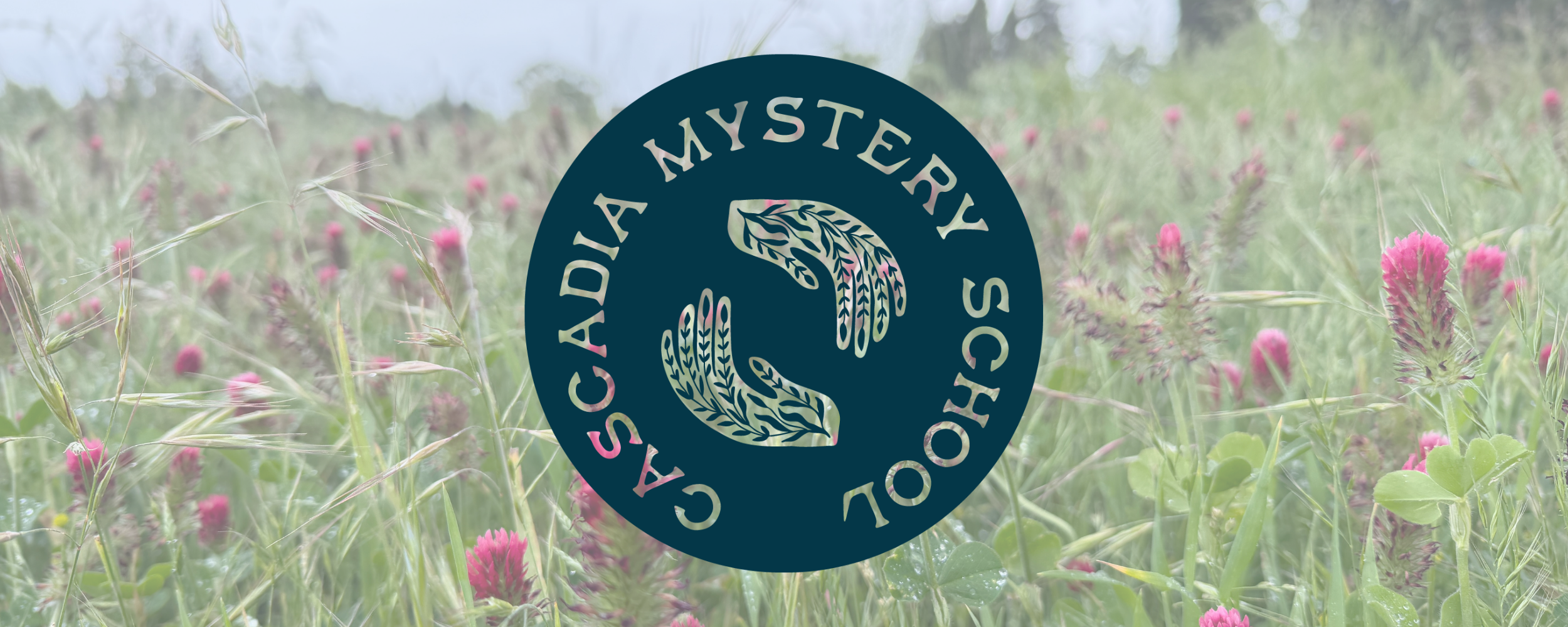 A field of tall grass with pink clover flowers and green foliage, slightly foggy or misty atmosphere.