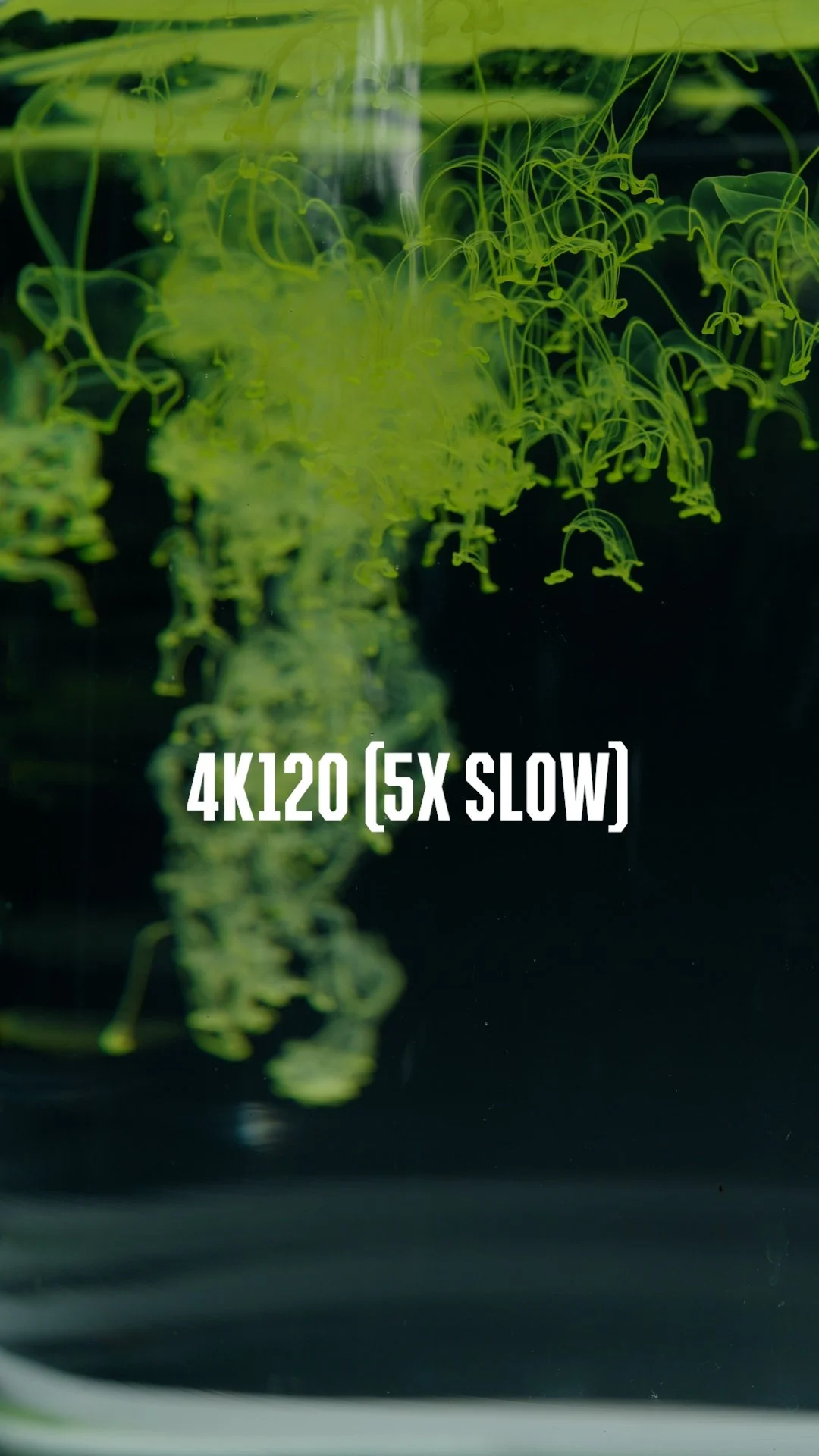 Inks 5.00_00_07_15.Still001.jpg