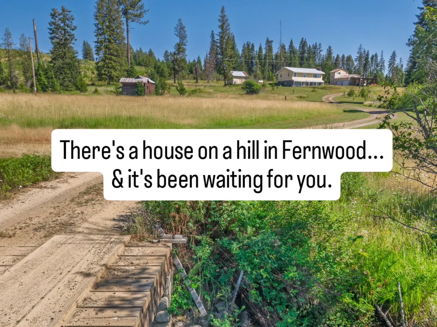 This one's ready for her next chapter! 👀

A house on 15 acres, WITH a year-round creek 🙋🏻&zwj;♀️, yes please!

Open pasture for your critters 🐎🐷🐐.

Your land. Your rules. Come write your next chapter!

*did I mention it's on Fernwood water and 