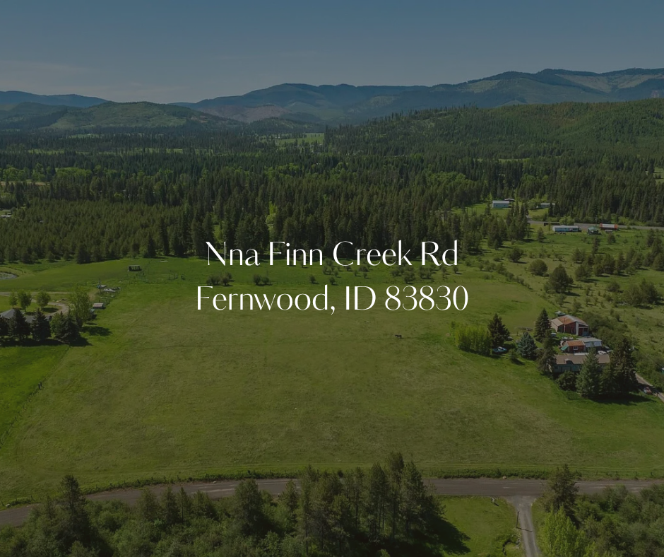 Finn Creek.png