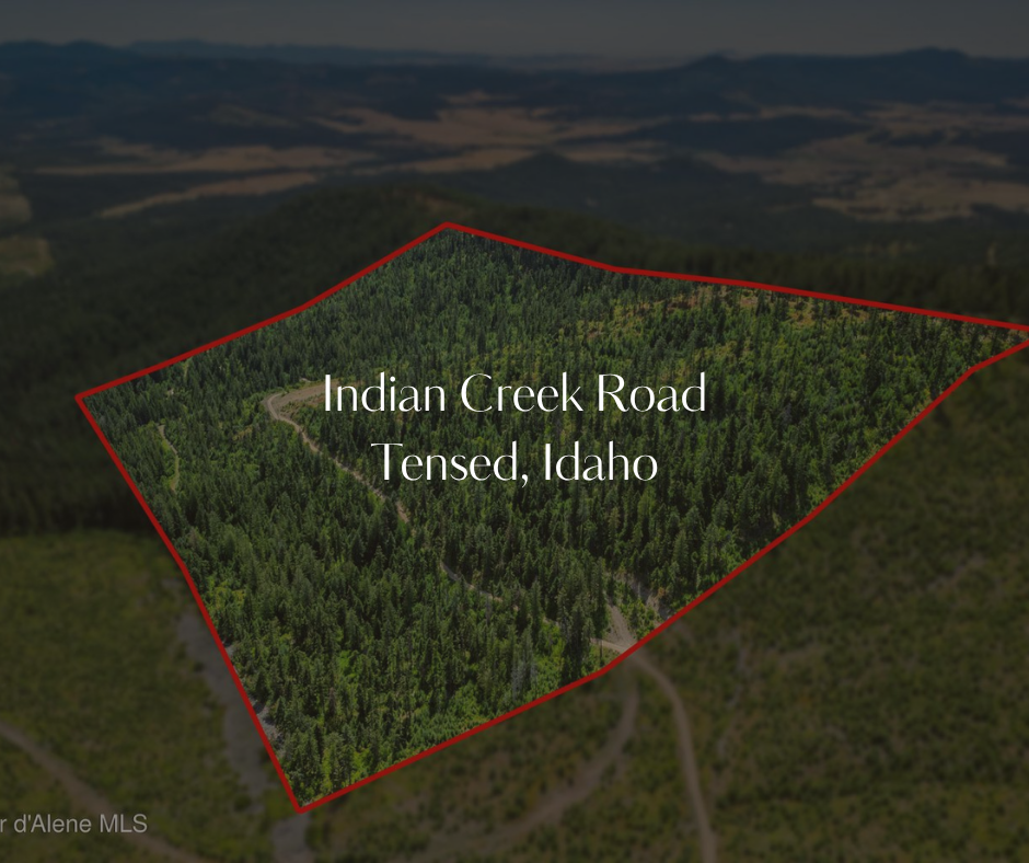 Finn Creek (2).png