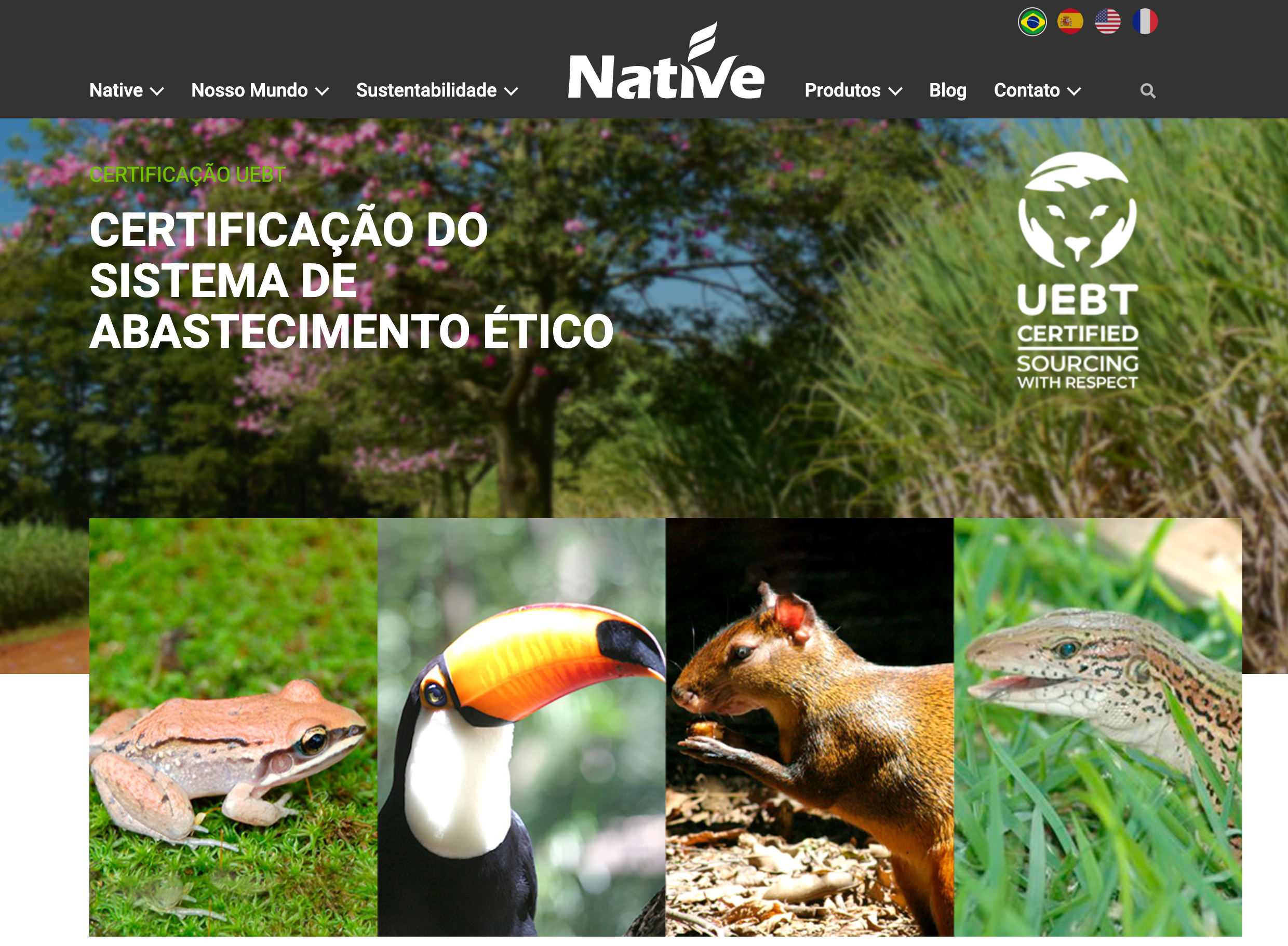 Native