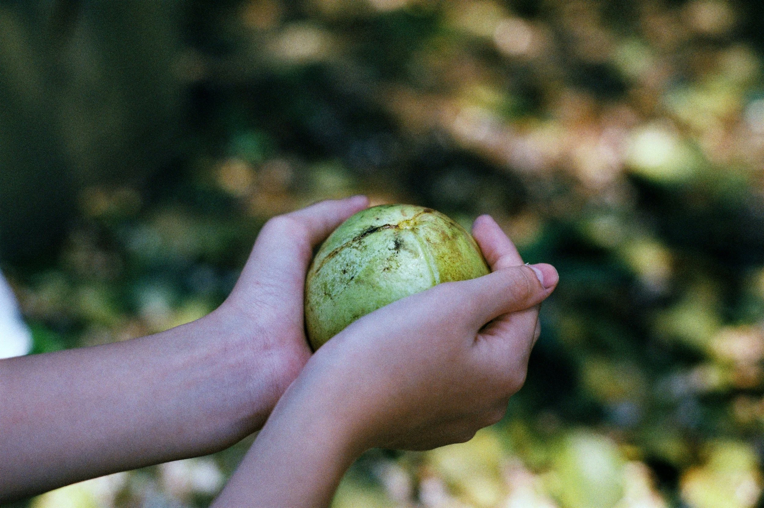 Access and benefit sharing