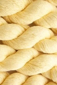 Chapter 3 — Rooms Built on Ego 