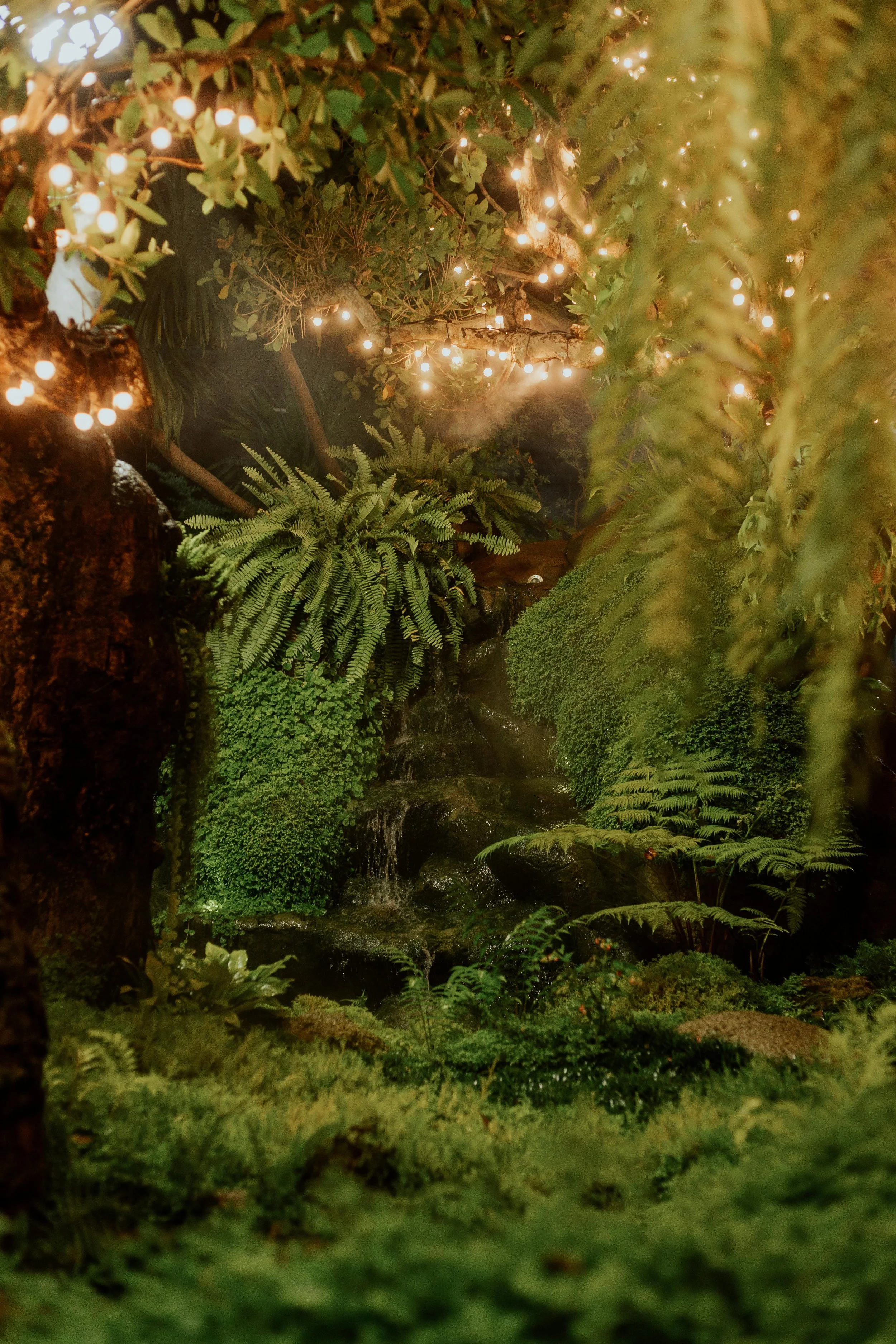 Enticing Garden