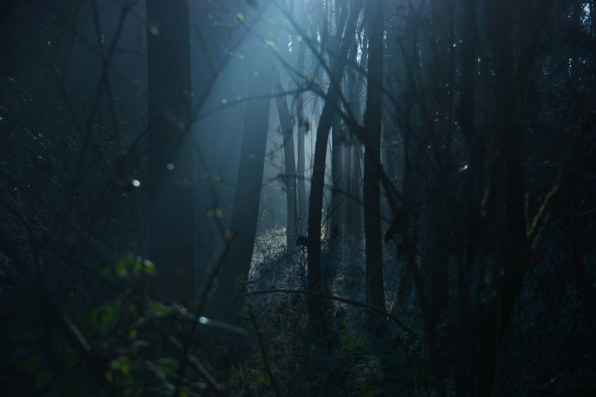 I want to know your darkness 