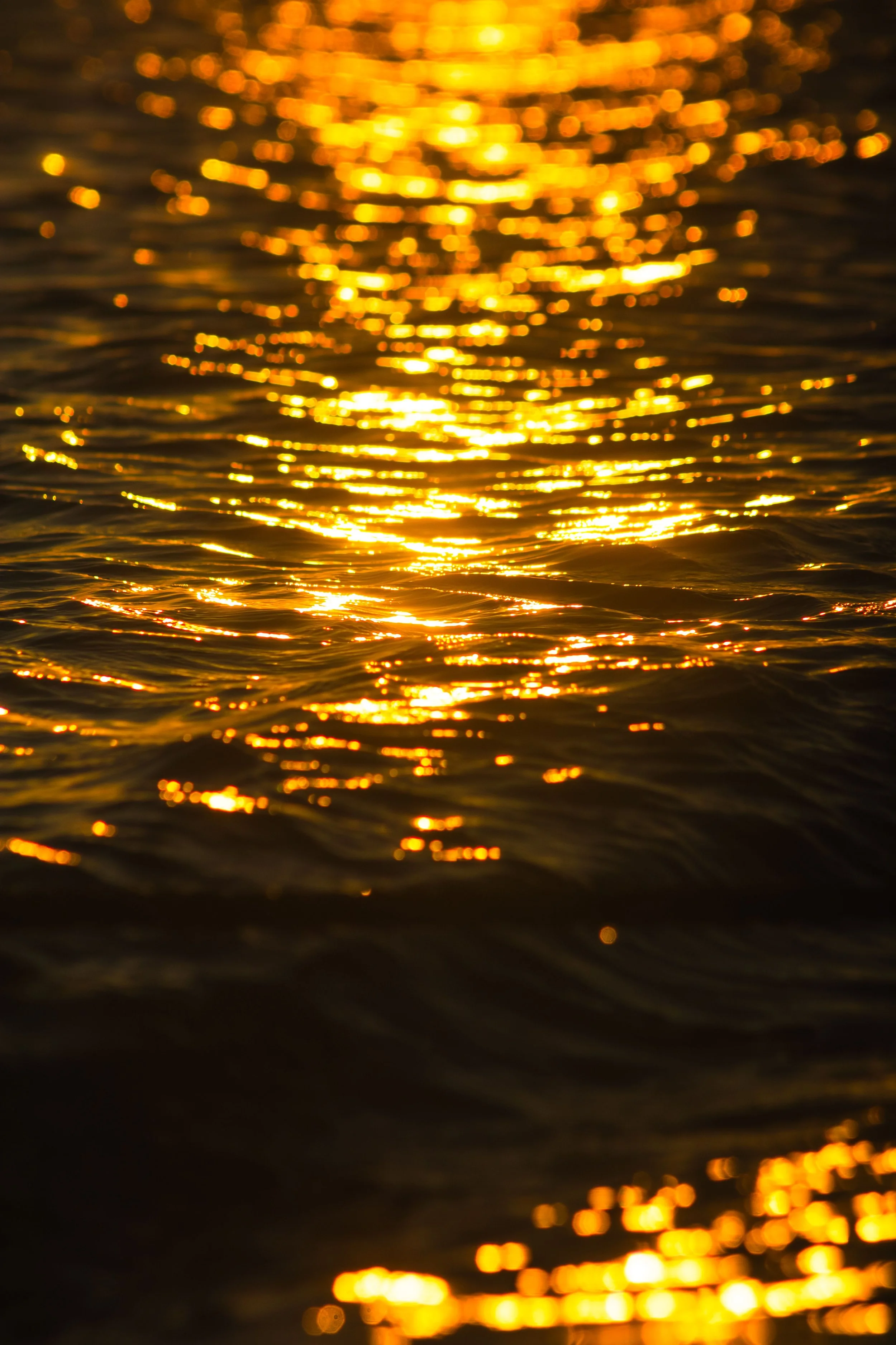 No Gold in the Shallow