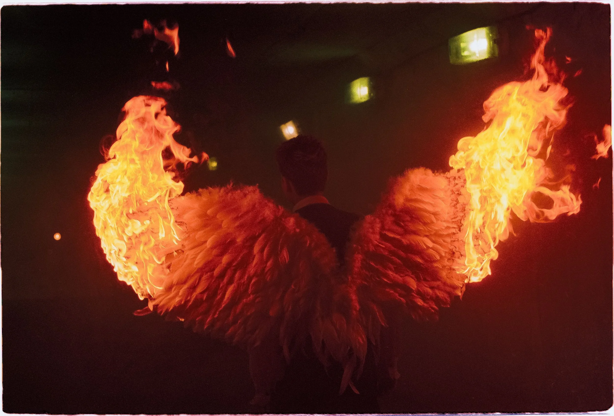 Pair of wings