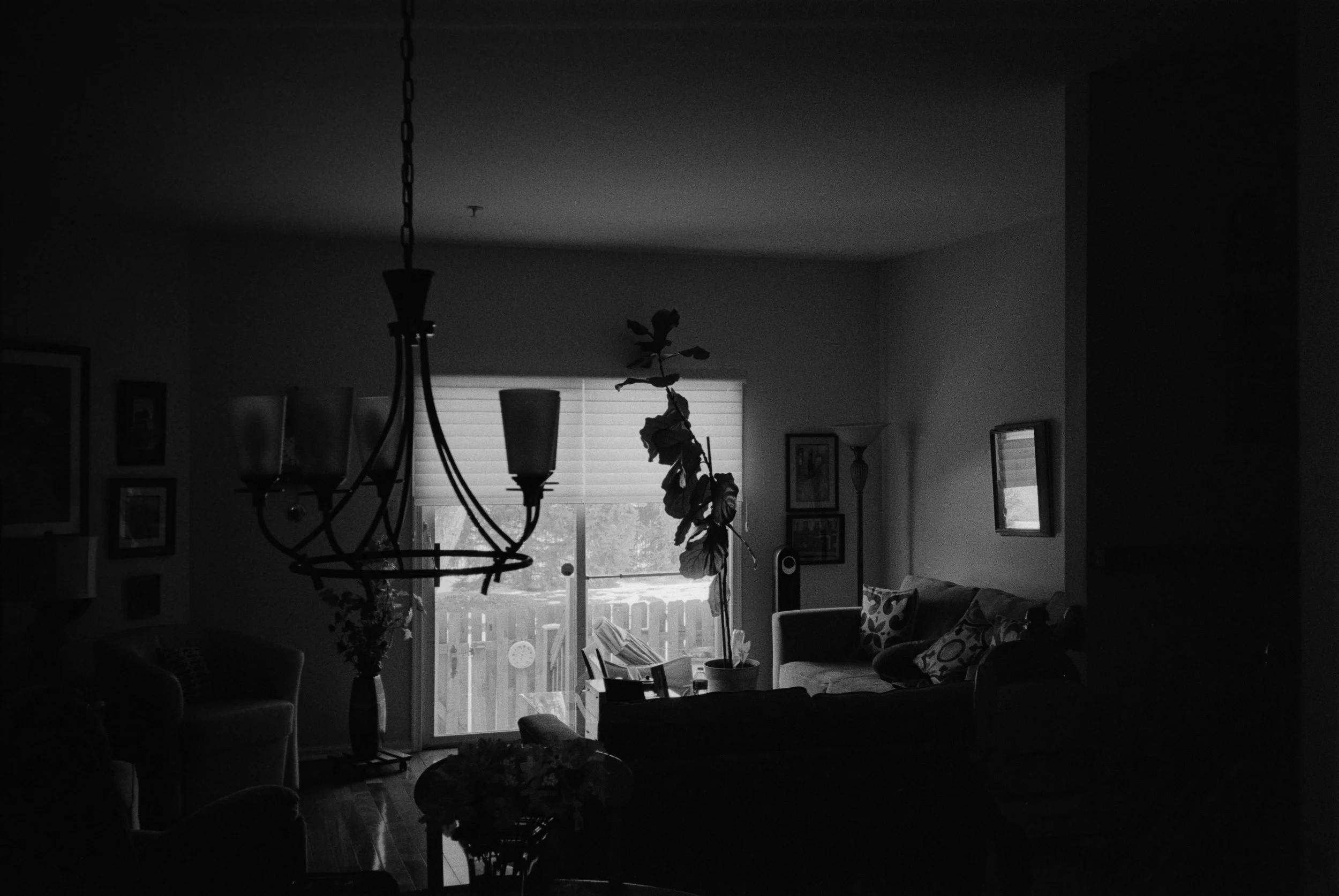 DSC04221.jpg