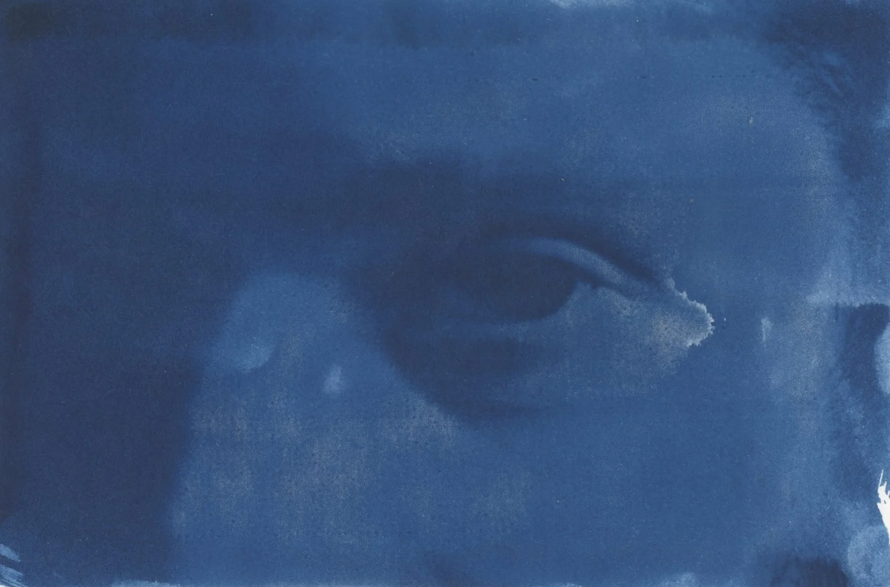 Cyanotype Scan 01.jpg