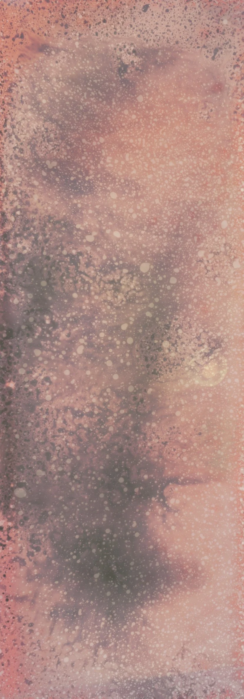 Chemigram Scan 03.jpg