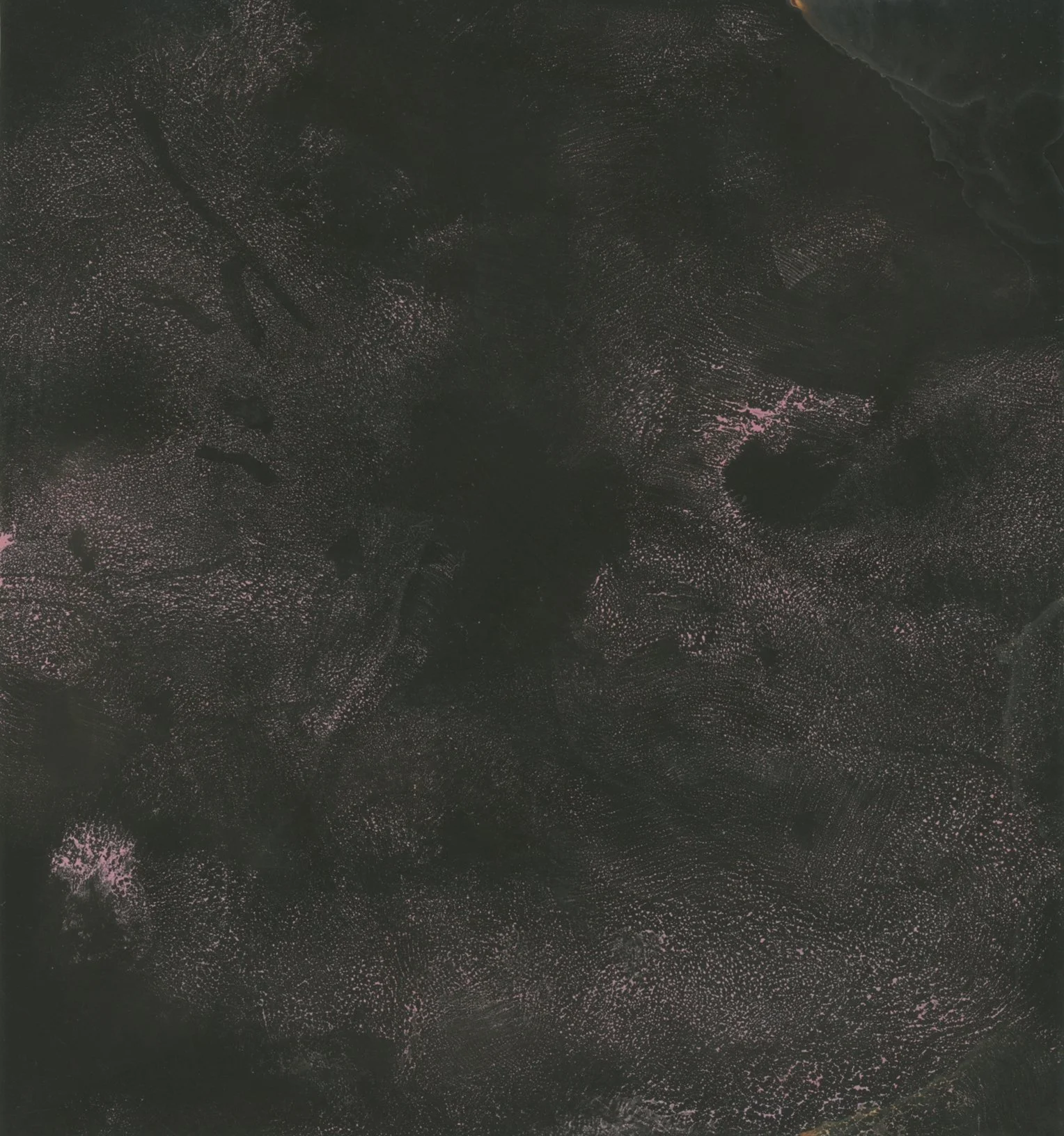 Chemigram Scan 05.jpg