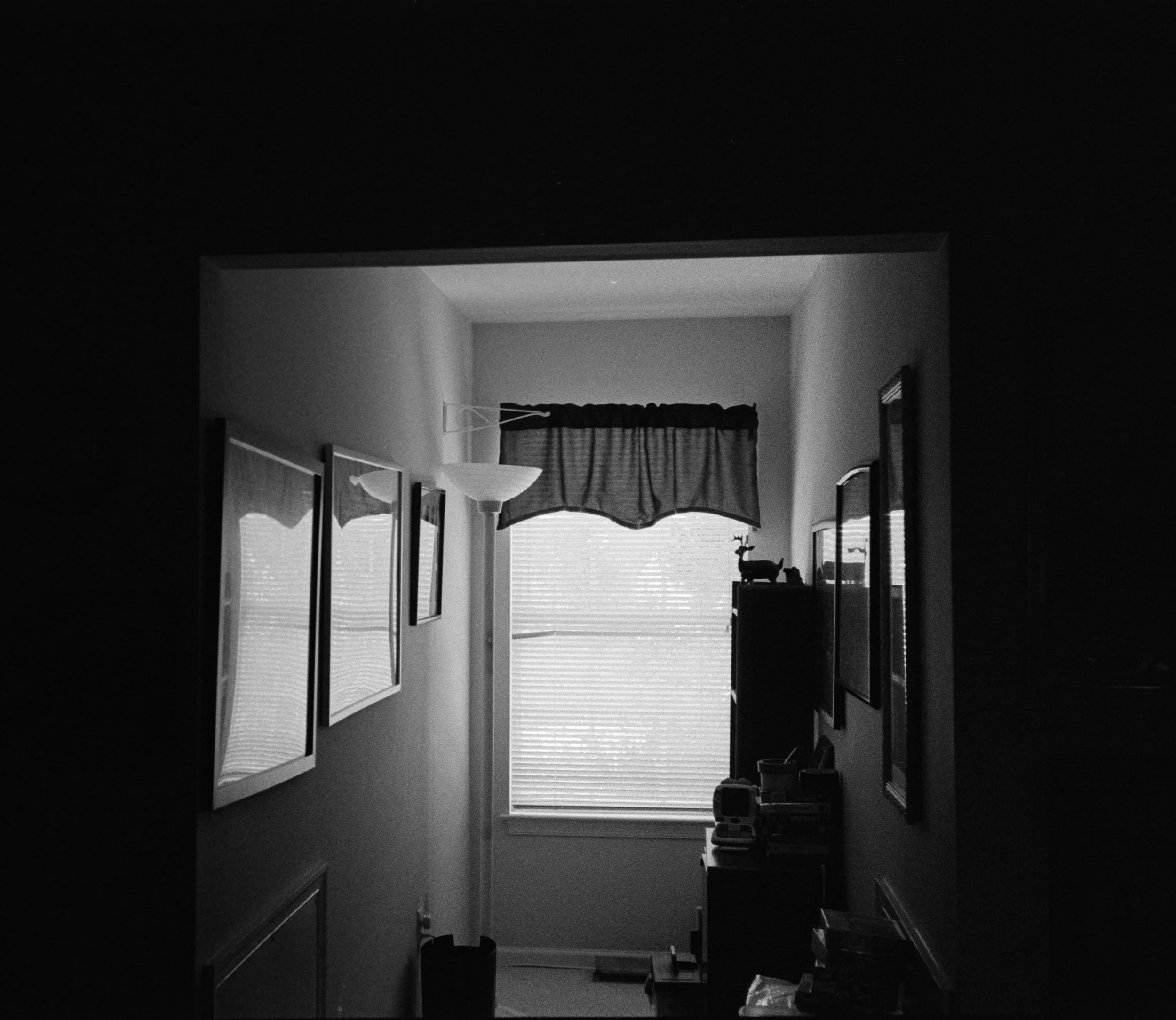 DSC04211.jpg