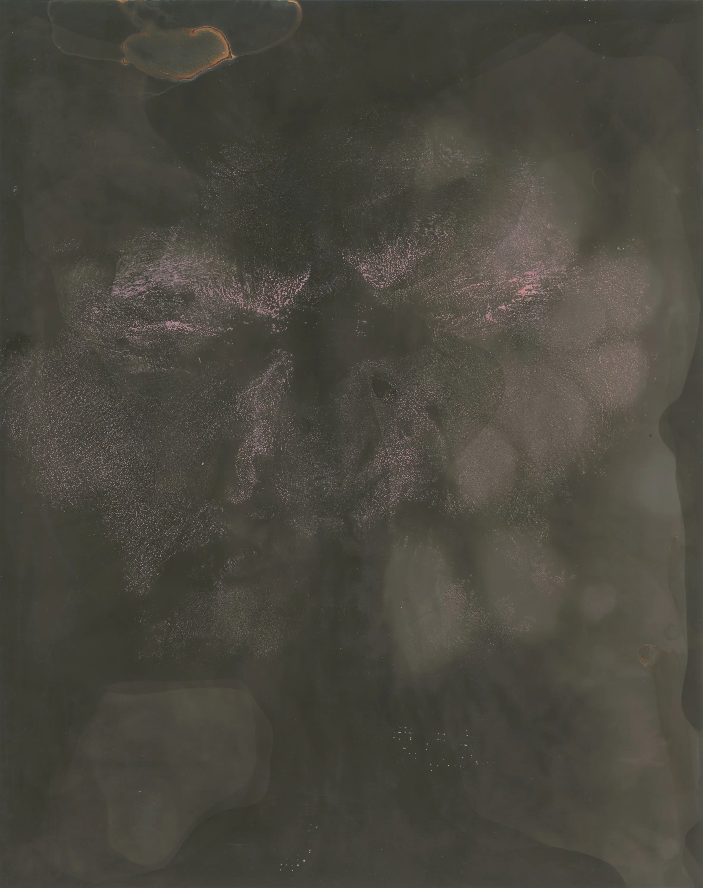 Chemigram Scan 09.jpg