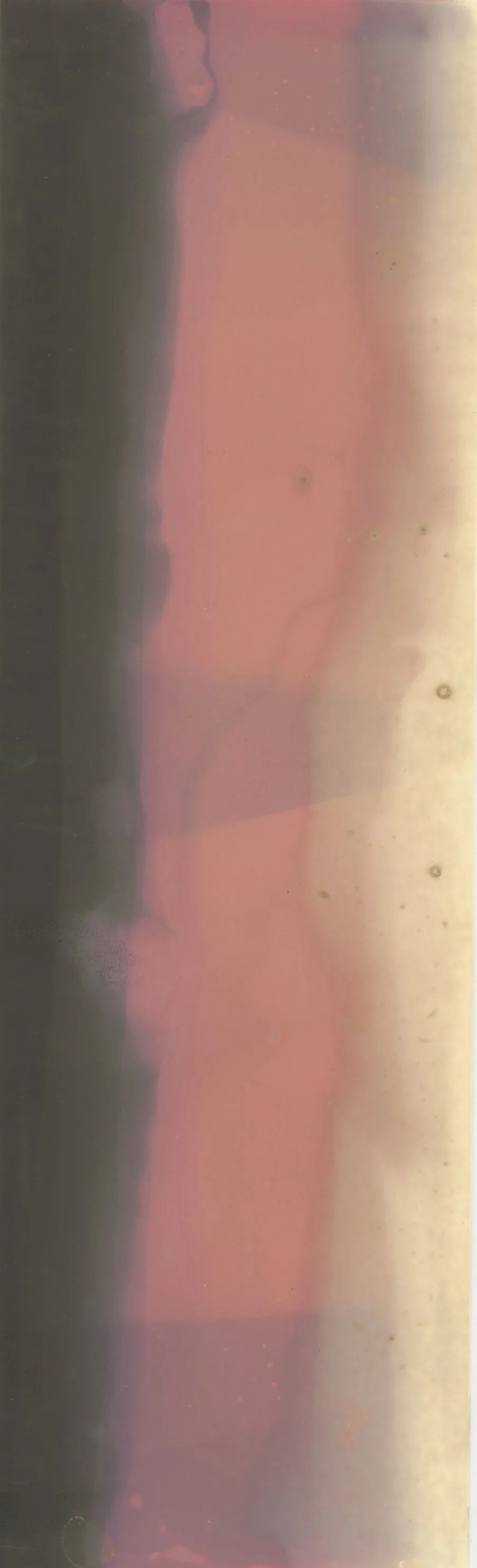 Chemigram Scan 01.jpg