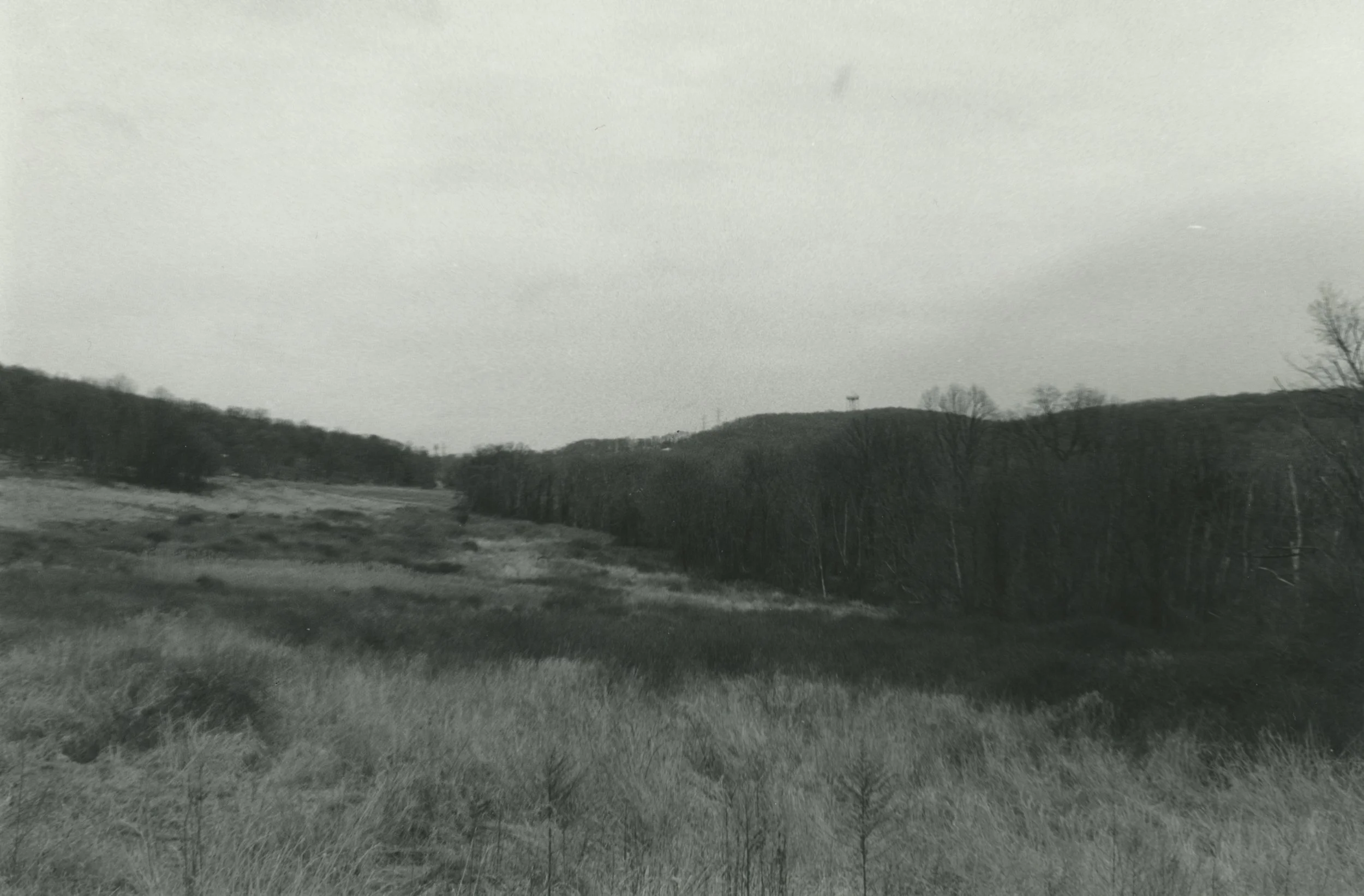 Darkroom Print Scan.jpg