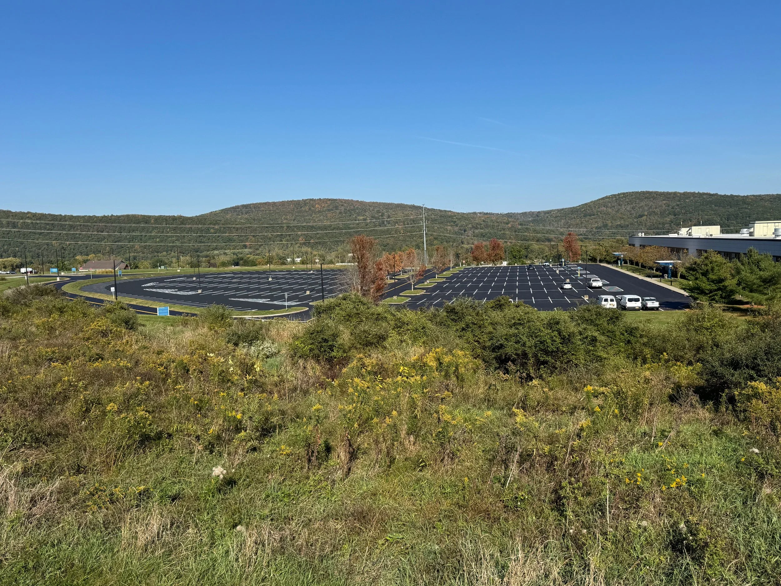 Empty parking lot with a few cars and surrounding greenery with hills in the background under a clear blue sky.