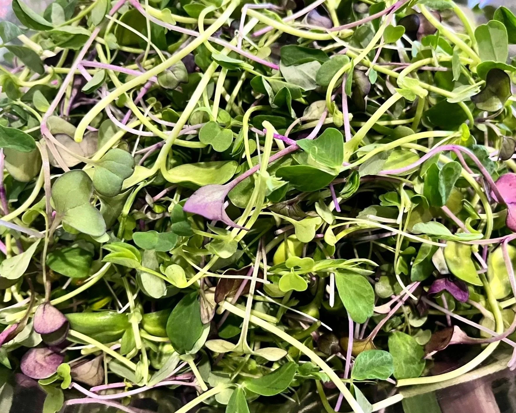 Crunchy Micro Mix