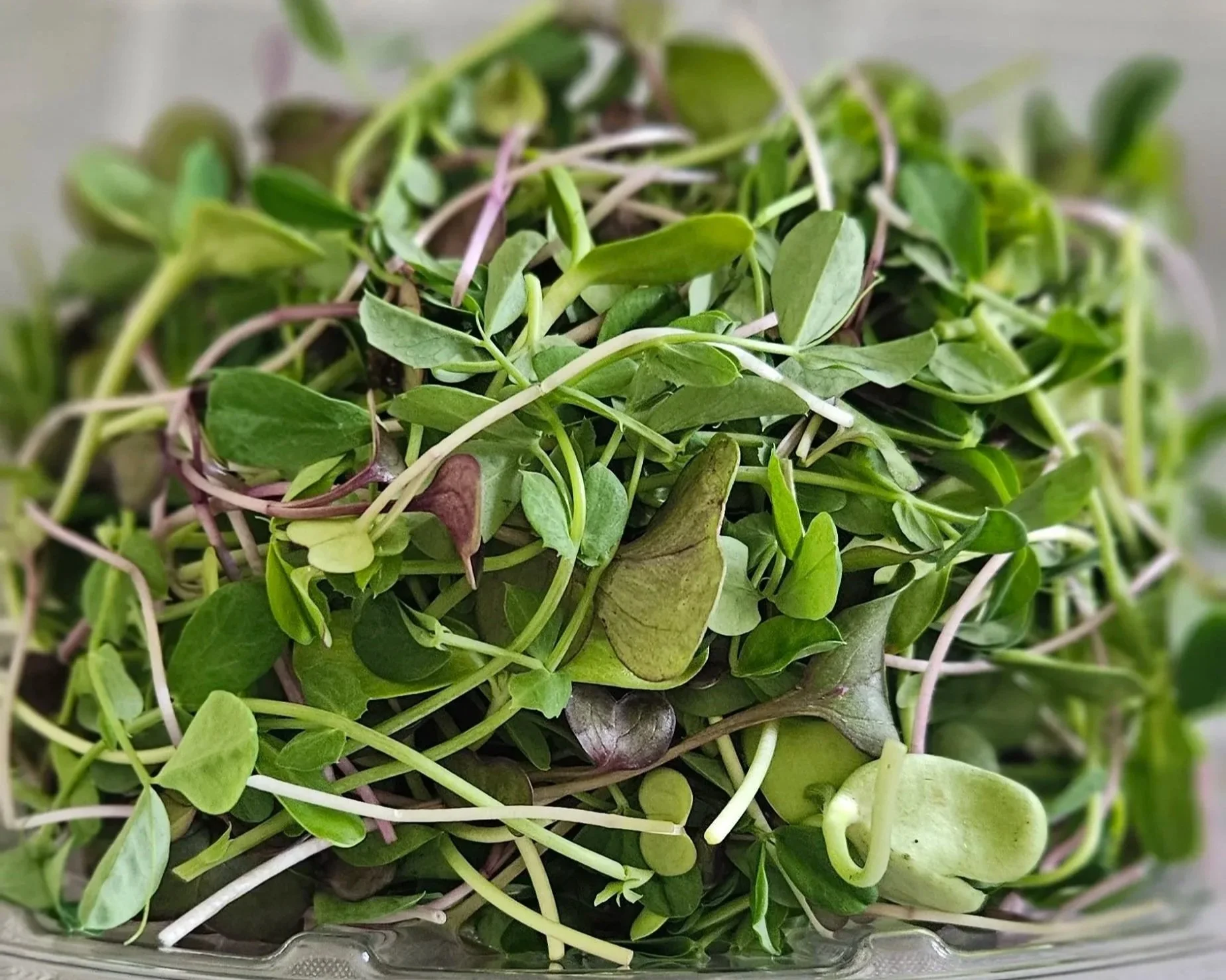 Crunchy Micro Mix