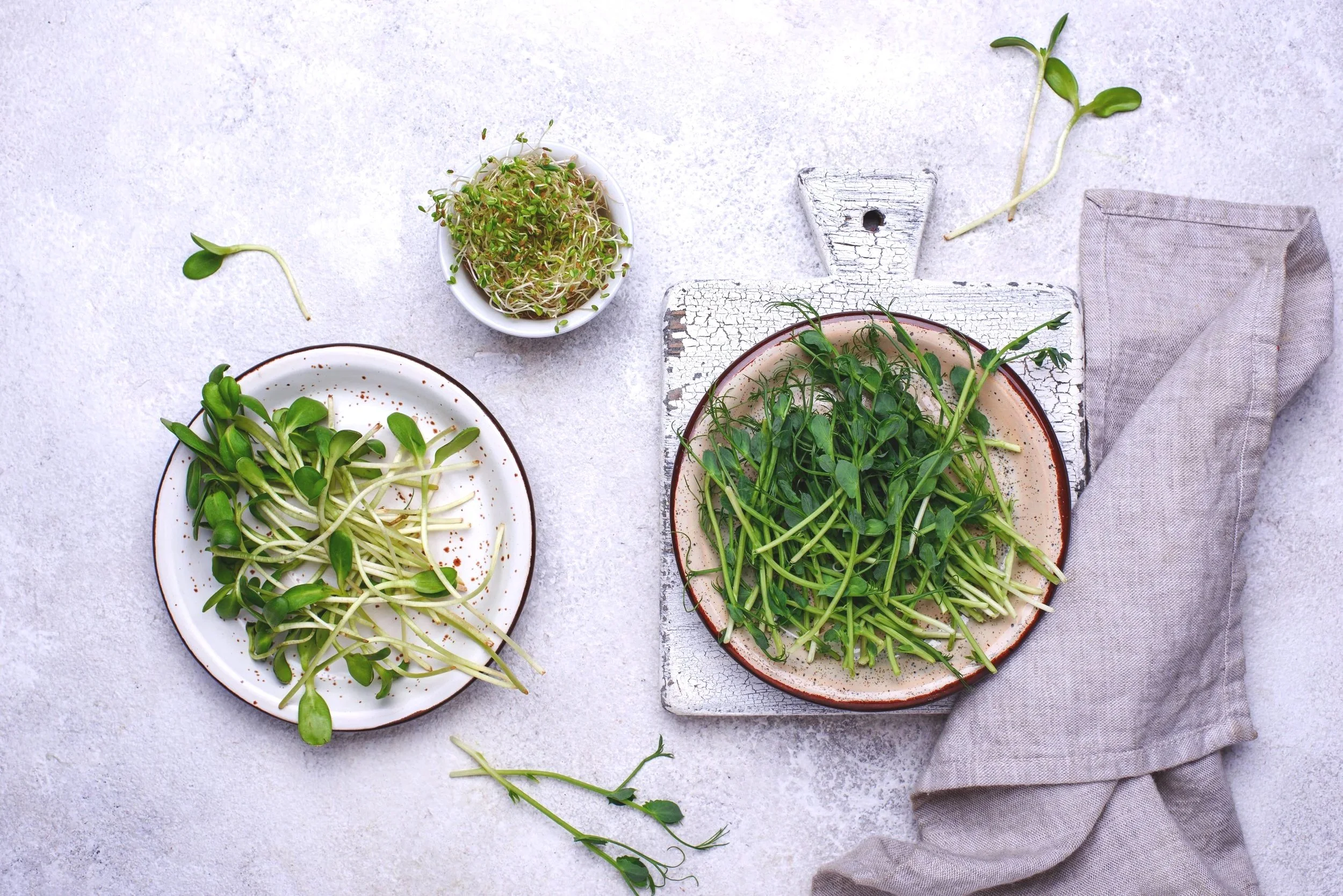 Various types of fresh green microgreens and sprouts on plates and bowls, arranged on a textured light-colored surface, with a rustic wooden cutting board and a beige cloth napkin nearby.