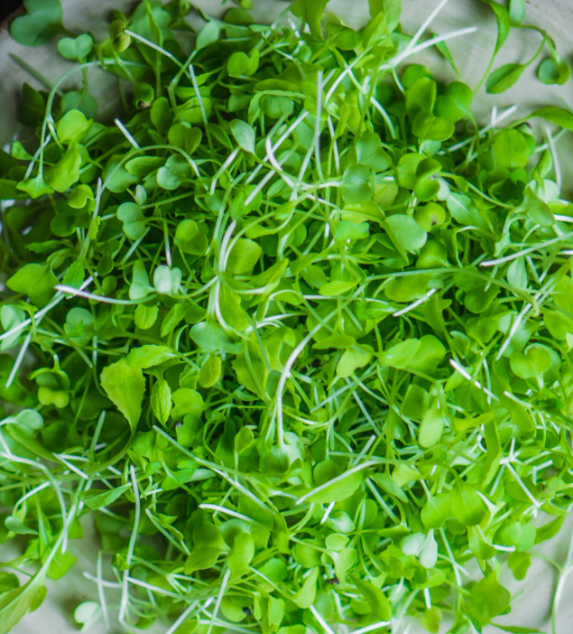 Arugula