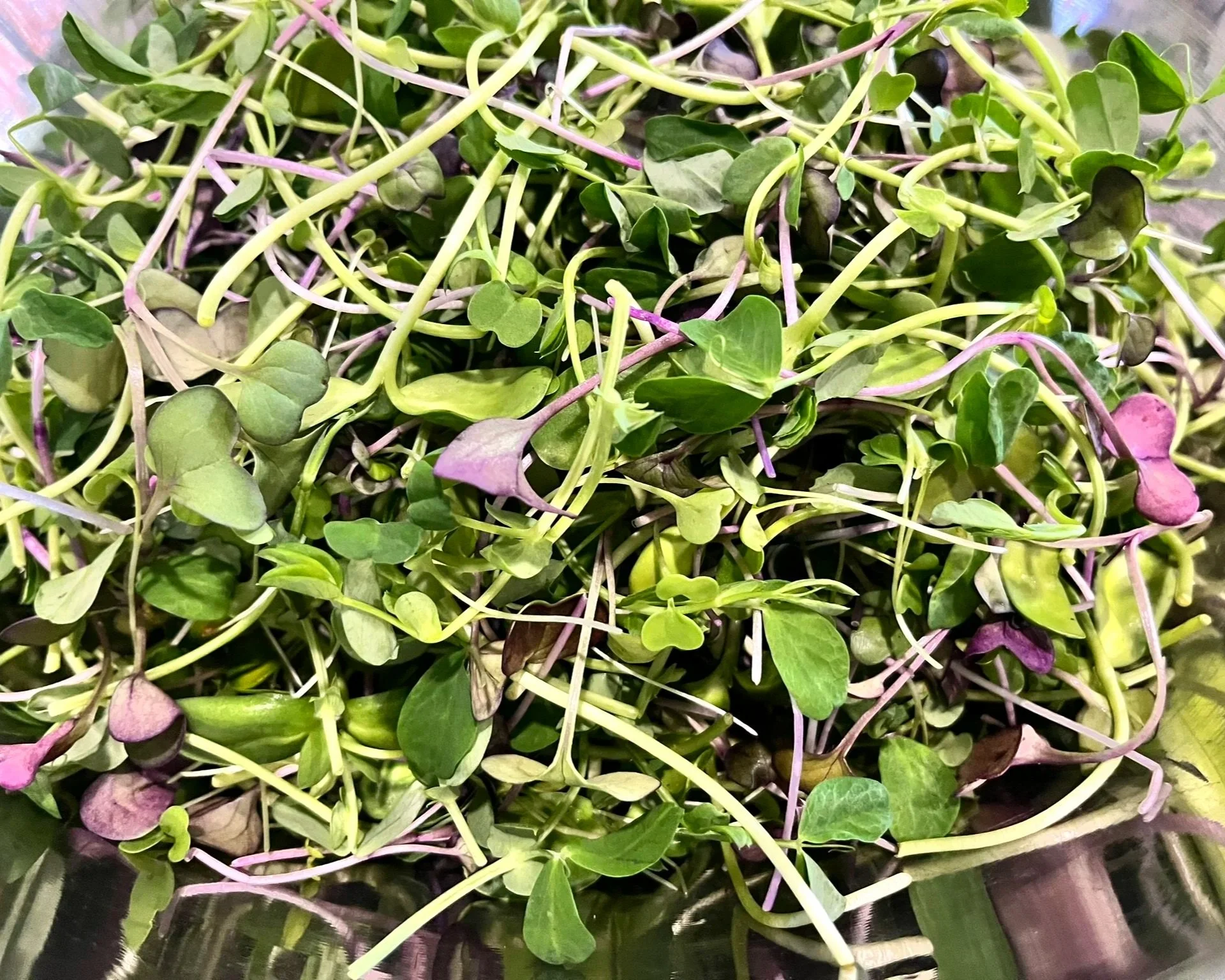Crunchy micro mix