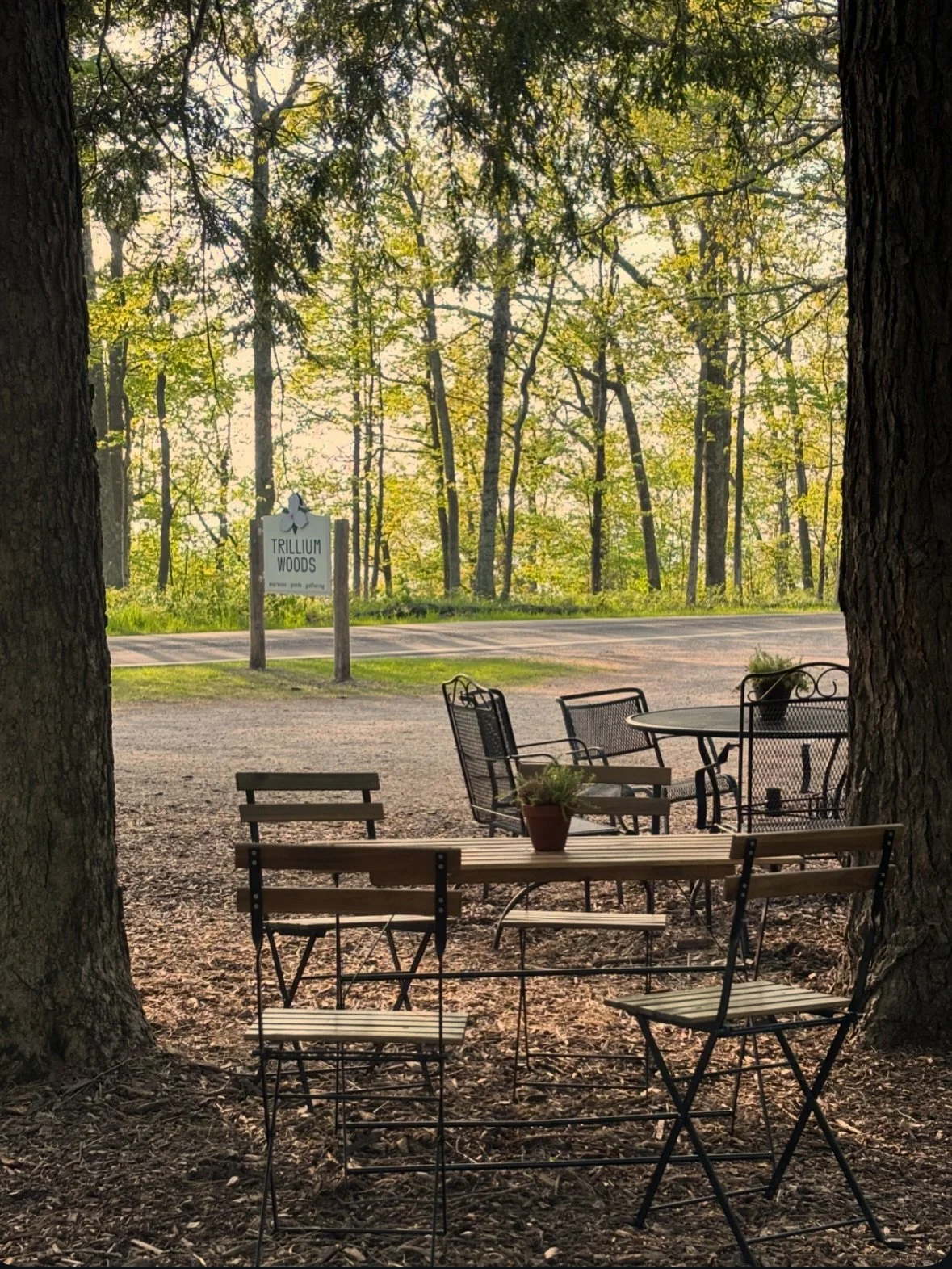 🌝 OPENING WEEKEND 🌝 We are deeeelighted to share that we are officially open for the season! Trillium Woods is open 7 days a week and will be serving excellent espresso, delicious baked goods, and superb vibes on the daily. On behalf of our entire 